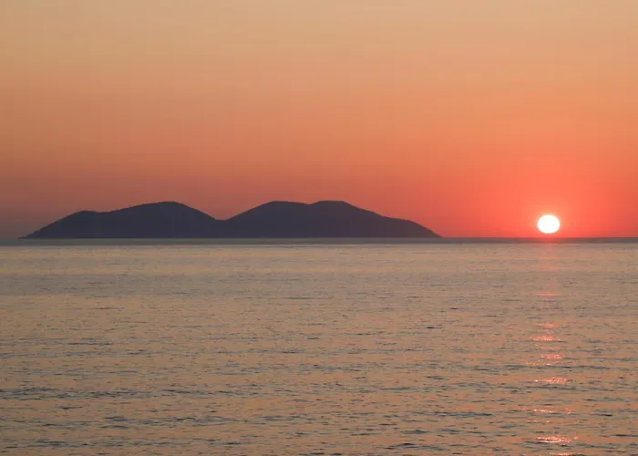 نيويورك فندق فلورا